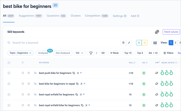 Example of LowFruits keyword analysis