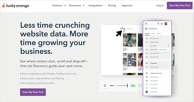 Lucky Orange interface with heatmaps, live chat, and conversion funnels.